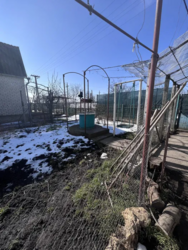 � ������ ������� � ���� ����� ���� 7