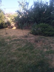 ������ ������� �������������� ��� ����. ���� 5