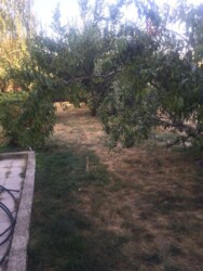 ������ ������� �������������� ��� ����. ���� 16