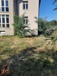 ������ ��������� ������� � ���������� ������ �. ����, ���. �������� ������������, 19 (������� ���������) ���� 6