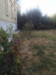 ������ ������� �������������� ��� ����. ���� 6