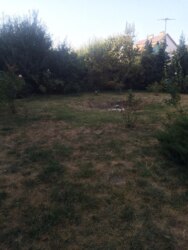 ������ ������� �������������� ��� ����. ���� 12