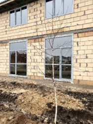 �������� 66 �.�� ���, �������������� �� Sanville park ���� 15