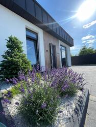 🏡 �������������� �������� 74 �.�� � ������� ������ 33 �.�� | ����������� | 56 000 $ ���� 2