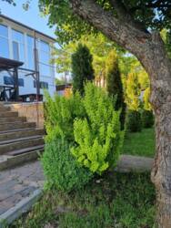 ������ �������, ������� ���� 8