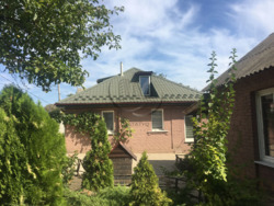 ������ �������-������, ���� ���� 8