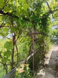 Продаж фасадного дачного будинку в Садовому товаристві 'Медик' 49900$ фото 2 Продаж фасадного дачного будинку в Садовому товаристві 'Медик' 49900$ фото 2