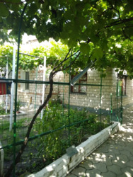 Продається будинок Миколаїв, Миколаївська, Центральний фото 8 Продається будинок Миколаїв, Миколаївська, Центральний фото 8