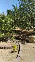 Продається будинок Миколаїв, Миколаївська, Корабельний фото 15 Продається будинок Миколаїв, Миколаївська, Корабельний фото 15