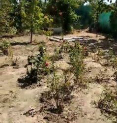 Продається будинок Миколаїв, Миколаївська, Корабельний фото 16 Продається будинок Миколаїв, Миколаївська, Корабельний фото 16