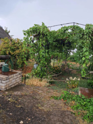 ��������� ������� �������, ����������� ���� 9