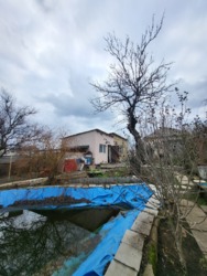 ��������� ������� �������� �������������, 288, �������, �����������, ����������� ���� 18