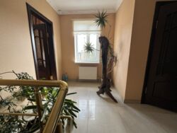 ��������� ������� �������, �����������, ����������� ���� 13