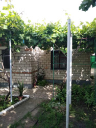 Продається будинок Миколаїв, Миколаївська, Центральний фото 6 Продається будинок Миколаїв, Миколаївська, Центральний фото 6