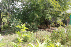 ��������� ������� 7 ���������, �������, ����������� ���� 3