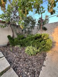 ��������� ������� �������, �����������, ����������� ���� 10