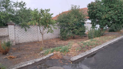 ��������� ������� �������, ����������� ���� 10