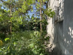 ��������� ������� ����������, 6, �������, �����������, ����������� ���� 16