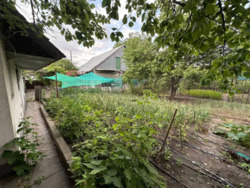 ��������� ������� ���� 17