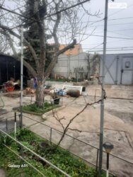 ��������� ������� ���� 11