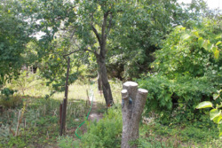 ��������� ������� 7 ���������, �������, ����������� ���� 6