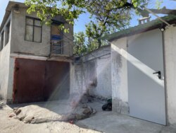 ��������� ������� ����������, 6, �������, �����������, ����������� ���� 14