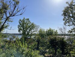 ��������� ������� ����������, 6, �������, �����������, ����������� ���� 17