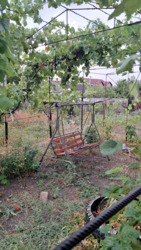 ��������� ������� �������, ����������� ���� 4