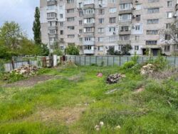 ��������� ������� �������������, 31, �������, �����������, ����������� ���� 8