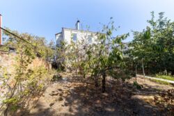 ��������� ������� �������, ����������� ���� 18