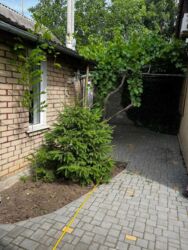 ��������� �������. ���� 1