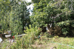 ��������� ������� 7 ���������, �������, ����������� ���� 4