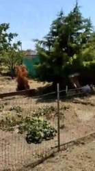 Продається будинок Миколаїв, Миколаївська, Корабельний фото 14 Продається будинок Миколаїв, Миколаївська, Корабельний фото 14