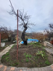 ��������� ������� �������� �������������, 288, �������, �����������, ����������� ���� 22