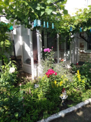 Продається будинок Миколаїв, Миколаївська, Центральний фото 7 Продається будинок Миколаїв, Миколаївська, Центральний фото 7