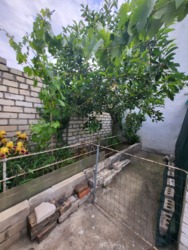 Продається будинок Андреева, 10А, Миколаїв, Миколаївська, Центральний фото 37 Продається будинок Андреева, 10А, Миколаїв, Миколаївська, Центральний фото 37