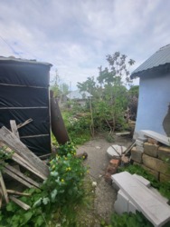 Продається будинок Новый инвалидный хутор, 36, Миколаїв, Миколаївська, Заводський фото 17 Продається будинок Новый инвалидный хутор, 36, Миколаїв, Миколаївська, Заводський фото 17