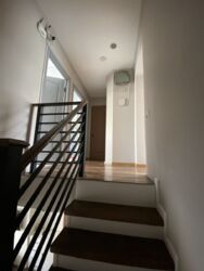 ��������� ������� ���� 12