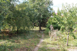 ��������� ������� 7 ���������, �������, ����������� ���� 5