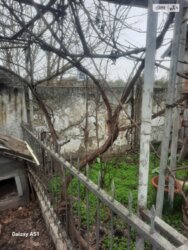 ��������� ������� ���� 10