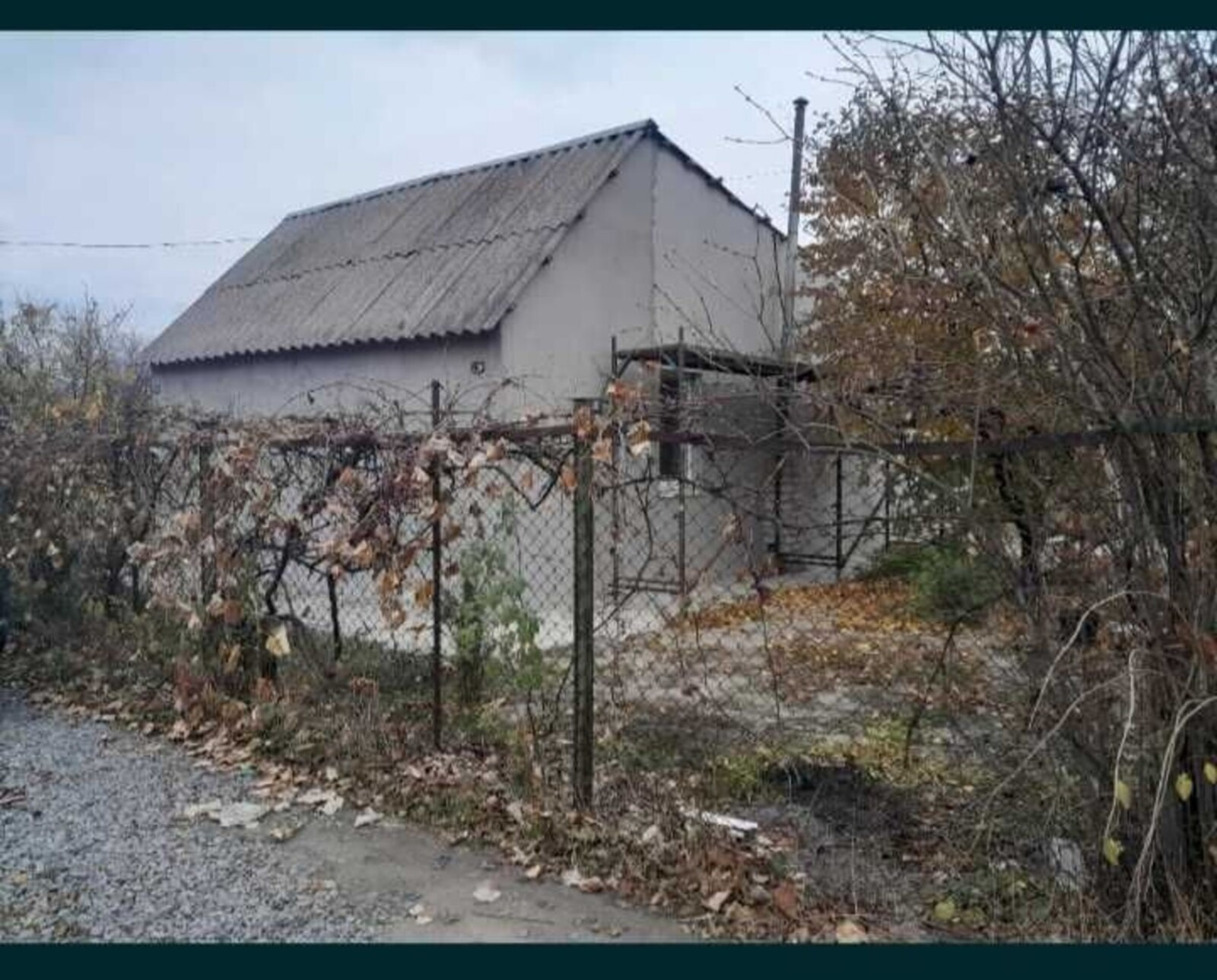 ���� 55 �. ��. 6 ���. �� '�������� �����' ���� 1