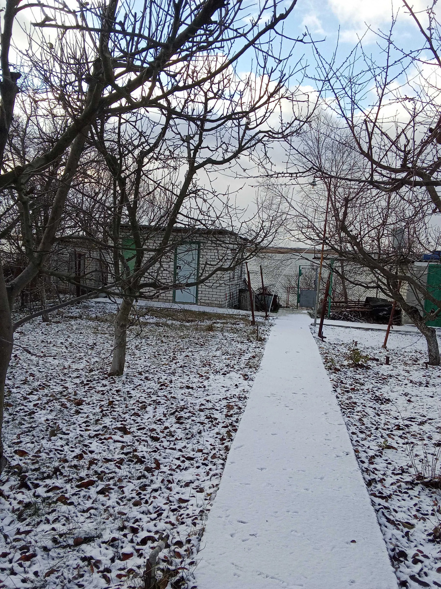 Продам дачу в Александровке 42 м. кв., со своим берегом, река Самара. фото 1 Продам дачу в Александровке 42 м. кв., со своим берегом, река Самара. фото 1