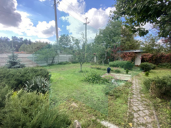 ���� 50 �. ��. �� ����� ��������� ��������. ���� 8