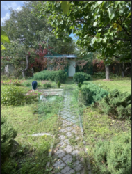 ���� 50 �. ��. �� ����� ��������� ��������. ���� 4