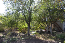 Дача. Садовый дом. 60 м. кв., с. Новоселовка, СТ Голубка. фото 9 Дача. Садовый дом. 60 м. кв., с. Новоселовка, СТ Голубка. фото 9