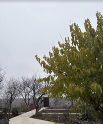 Дом 200м. кв + дом 40м.кв 10 сот. р-н Передовая фото 18 Дом 200м. кв + дом 40м.кв 10 сот. р-н Передовая фото 18