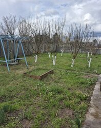 Дача 76 м. кв., участок 9,2 сотки с удобствами и отоплением. Обуховка. Лес. Река Орель. фото 9 Дача 76 м. кв., участок 9,2 сотки с удобствами и отоплением. Обуховка. Лес. Река Орель. фото 9