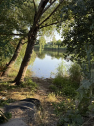 Дом, 71 м. кв. Берег озера. Ул. Трансформаторная. Мебель. Техника. фото 4 Дом, 71 м. кв. Берег озера. Ул. Трансформаторная. Мебель. Техника. фото 4