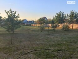 ���, 46 �. ��. �����������, ����� ��������� ���� 12