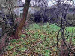 ��������� ������� ������, ����������������, �������������� ���� 16